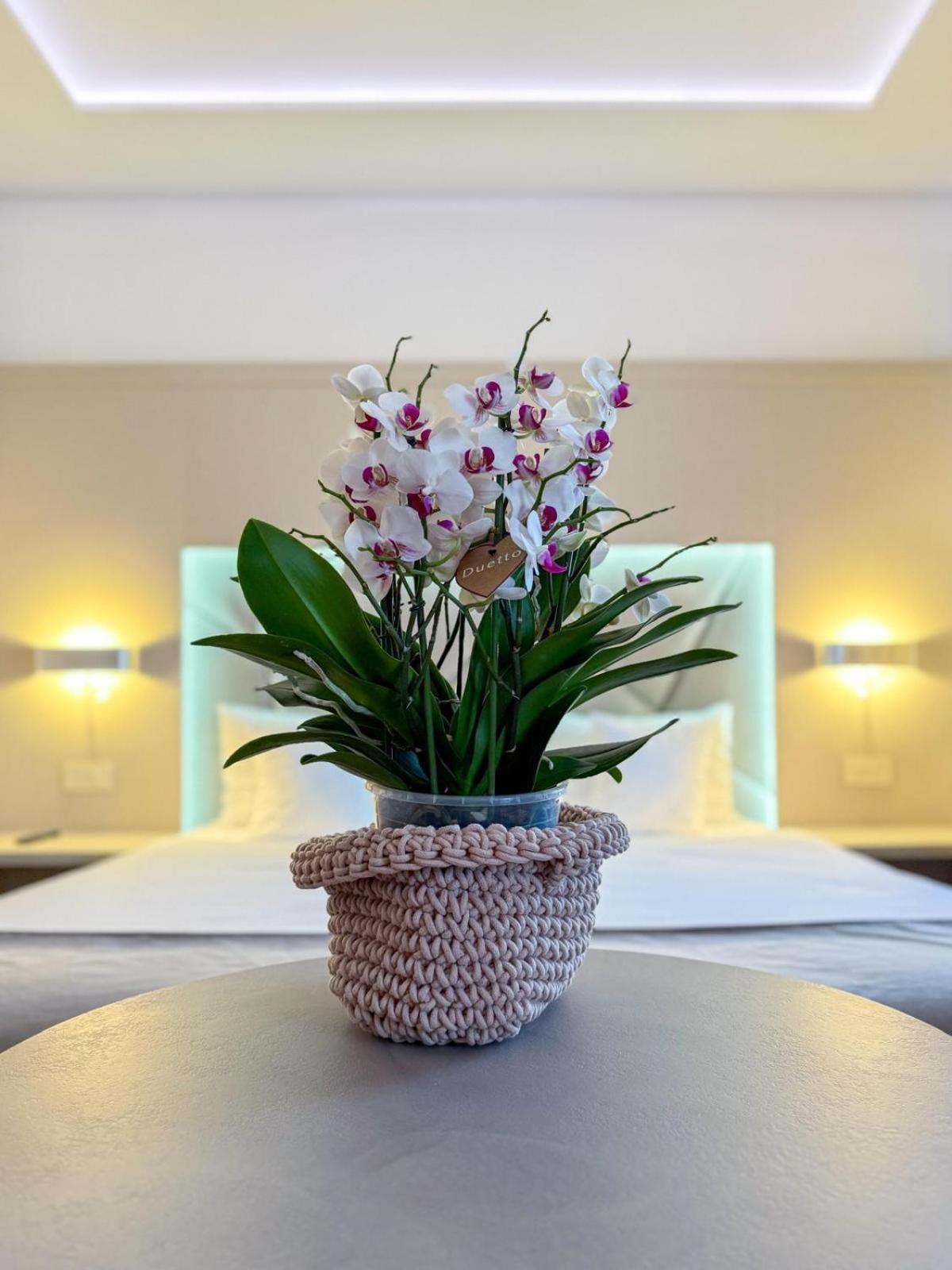 Hotel Eden Garden Spa Kimpulung Mołdawski Zewnętrze zdjęcie